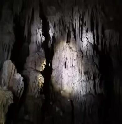 图片11 图片11